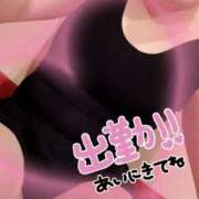 ヒメ日記 2025/11/24 12:05 投稿 まこ 妻天 日本橋店