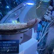 ヒメ日記 2025/12/13 17:02 投稿 まこ 妻天 日本橋店