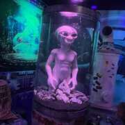 ヒメ日記 2025/12/13 23:01 投稿 まこ 妻天 日本橋店