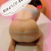 ヒメ日記 2026/02/02 08:35 投稿 まこ 妻天 日本橋店