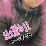 ヒメ日記 2026/02/15 12:10 投稿 まこ 妻天 日本橋店