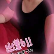 ヒメ日記 2026/02/21 09:24 投稿 まこ 妻天 日本橋店