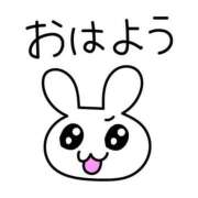 ヒメ日記 2026/05/25 07:21 投稿 まこ 妻天 日本橋店
