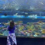 ヒメ日記 2025/02/24 23:12 投稿 いづみ 熟女の風俗最終章 西川口店