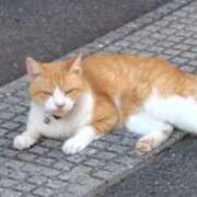 ヒメ日記 2025/09/12 17:33 投稿 タマキ ANGEL八戸