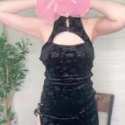 ヒメ日記 2025/07/07 15:47 投稿 猫山みい Mrs. Dandy Yokohama