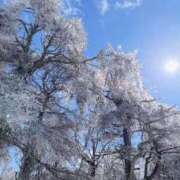 ヒメ日記 2025/03/04 11:22 投稿 聖川 BBW横浜店