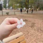 ヒメ日記 2025/04/01 10:10 投稿 聖川 BBW横浜店