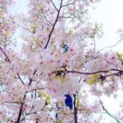 ヒメ日記 2025/04/03 15:00 投稿 聖川 BBW横浜店