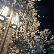 ヒメ日記 2025/04/07 17:03 投稿 聖川 BBW横浜店