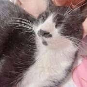 ヒメ日記 2025/06/11 15:25 投稿 聖川 BBW横浜店