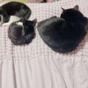 ヒメ日記 2025/06/30 09:21 投稿 聖川 BBW横浜店