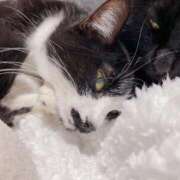 ヒメ日記 2025/07/16 14:05 投稿 聖川 BBW横浜店