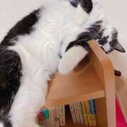 ヒメ日記 2025/07/23 18:03 投稿 聖川 BBW横浜店