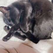 ヒメ日記 2025/09/02 10:44 投稿 聖川 BBW横浜店