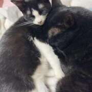 ヒメ日記 2025/10/10 10:53 投稿 聖川 BBW横浜店