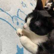 ヒメ日記 2025/11/11 10:21 投稿 聖川 BBW横浜店