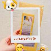 ヒメ日記 2025/11/12 15:01 投稿 聖川 BBW横浜店