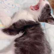 ヒメ日記 2025/11/25 18:20 投稿 聖川 BBW横浜店