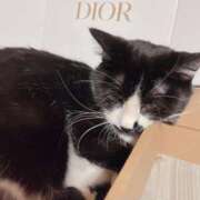 ヒメ日記 2026/02/24 09:02 投稿 聖川 BBW横浜店