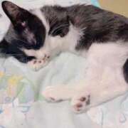 ヒメ日記 2026/04/09 08:35 投稿 聖川 BBW横浜店