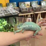 ヒメ日記 2025/04/25 20:18 投稿 松井 Exceed