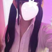 ヒメ日記 2025/02/08 16:45 投稿 ぴな みつばちマーヤZ