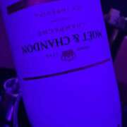 ヒメ日記 2025/03/12 18:57 投稿 ぴな みつばちマーヤZ