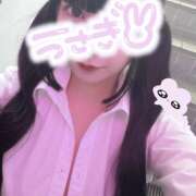 ヒメ日記 2025/04/13 16:25 投稿 ぴな みつばちマーヤZ