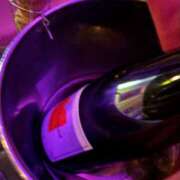 ヒメ日記 2025/04/20 22:13 投稿 ぴな みつばちマーヤZ