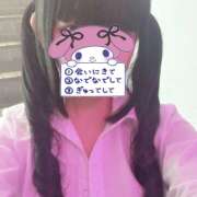 ヒメ日記 2025/05/02 18:45 投稿 ぴな みつばちマーヤZ