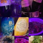 ヒメ日記 2025/06/03 19:00 投稿 ぴな みつばちマーヤZ