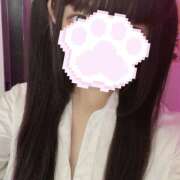 ヒメ日記 2025/07/08 18:37 投稿 ぴな みつばちマーヤZ