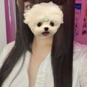 ヒメ日記 2025/09/03 18:18 投稿 ぴな みつばちマーヤZ