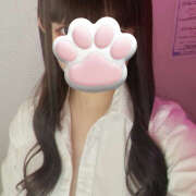 ヒメ日記 2025/11/11 20:02 投稿 ぴな みつばちマーヤZ