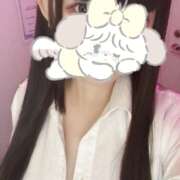 ヒメ日記 2026/01/19 18:20 投稿 ぴな みつばちマーヤZ