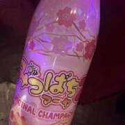 ヒメ日記 2026/03/16 01:26 投稿 ぴな みつばちマーヤZ