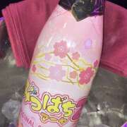 ヒメ日記 2026/03/23 20:53 投稿 ぴな みつばちマーヤZ