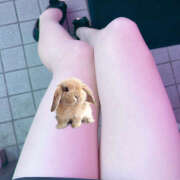 ヒメ日記 2026/04/02 19:15 投稿 ぴな みつばちマーヤZ