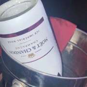 ヒメ日記 2026/04/24 18:17 投稿 ぴな みつばちマーヤZ