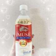 ヒメ日記 2025/01/22 02:43 投稿 るる 即プレイ専門店 性の極み