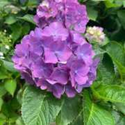 ヒメ日記 2025/06/27 12:07 投稿 るる 即プレイ専門店 性の極み