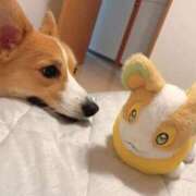 ヒメ日記 2025/11/10 16:07 投稿 るる 即プレイ専門店 性の極み