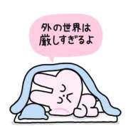 ヒメ日記 2025/11/13 09:26 投稿 るる 即プレイ専門店 性の極み