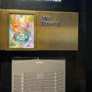 ヒメ日記 2025/12/05 15:36 投稿 るる 即プレイ専門店 性の極み