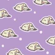 ヒメ日記 2025/12/19 10:06 投稿 るる 即プレイ専門店 性の極み