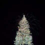 ヒメ日記 2025/12/27 00:36 投稿 るる 即プレイ専門店 性の極み