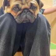 ヒメ日記 2026/02/24 23:26 投稿 るる 即プレイ専門店 性の極み