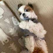 ヒメ日記 2026/03/28 10:26 投稿 るる 即プレイ専門店 性の極み