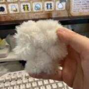 ヒメ日記 2025/03/05 22:56 投稿 ちとせ マリン千姫